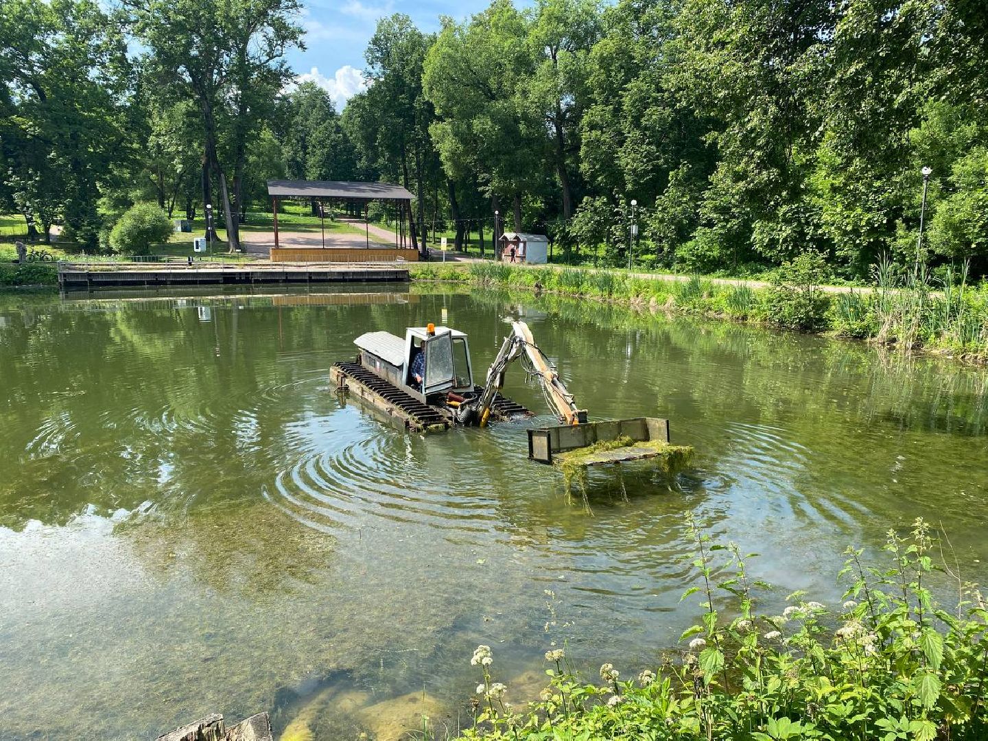 чехов, улица пушкина, городской парк, большой пруд, очистка пруда, очистка водоема, земснаряд боцман-м, уборка мусора и тины, удаление сухостоя, удаление аварийных деревьев, экология,