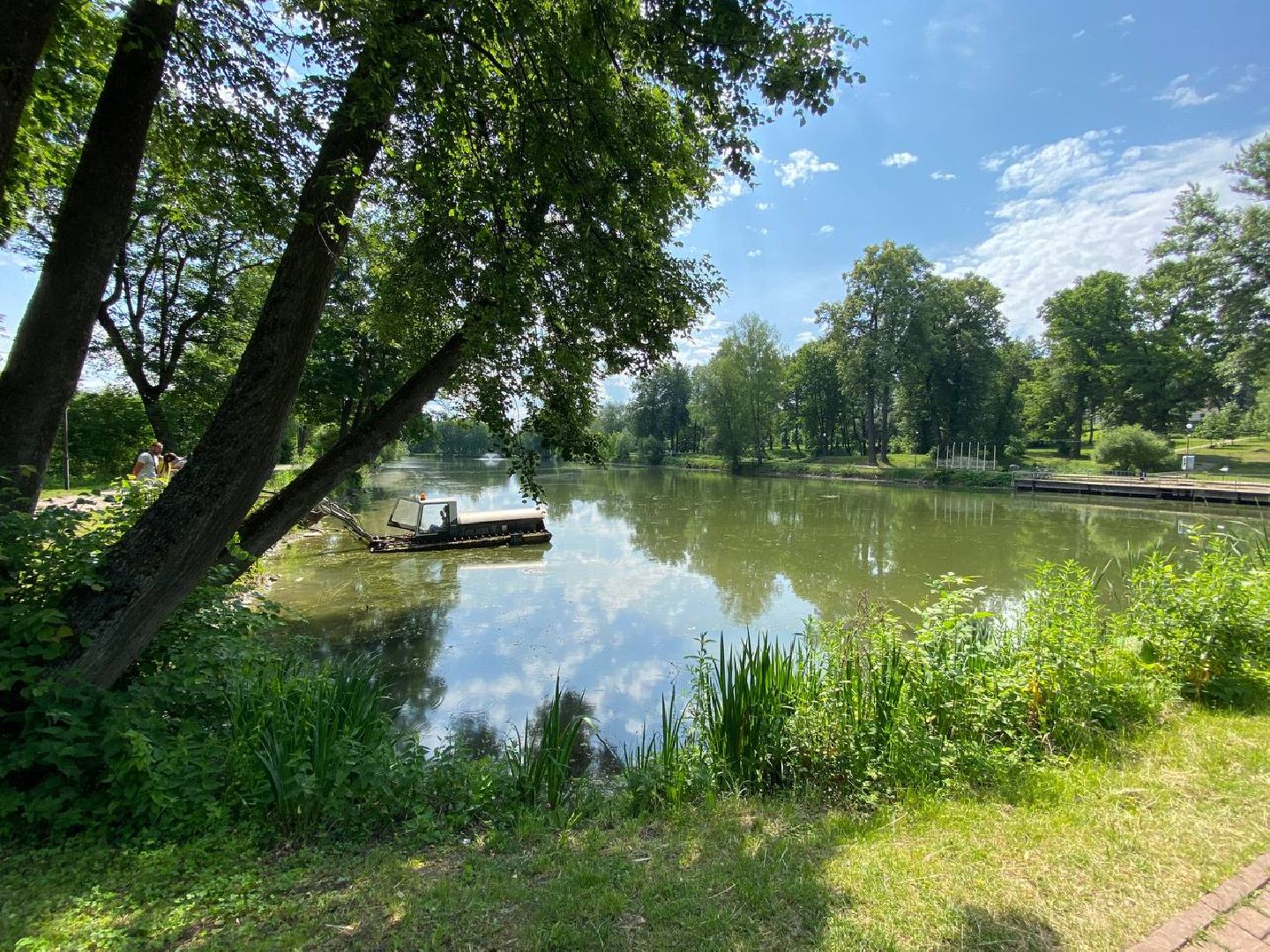 чехов, улица пушкина, городской парк, большой пруд, очистка пруда, очистка водоема, земснаряд боцман-м, уборка мусора и тины, удаление сухостоя, удаление аварийных деревьев, экология,