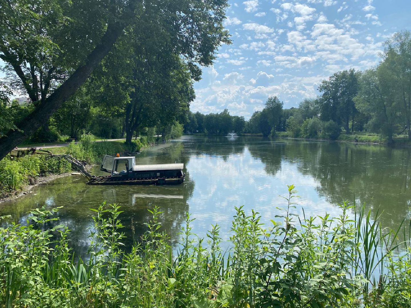 чехов, улица пушкина, городской парк, большой пруд, очистка пруда, очистка водоема, земснаряд боцман-м, уборка мусора и тины, удаление сухостоя, удаление аварийных деревьев, экология,