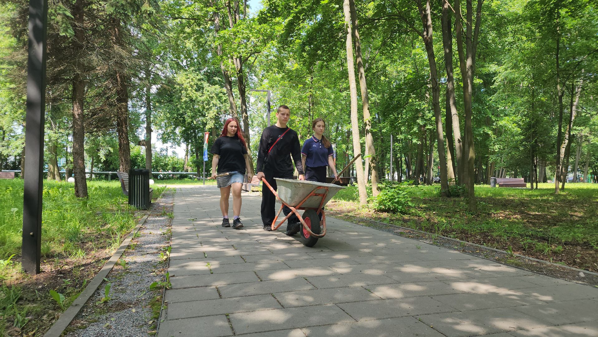 трудовой лагерь, дети, школьники, лосино-петровский,