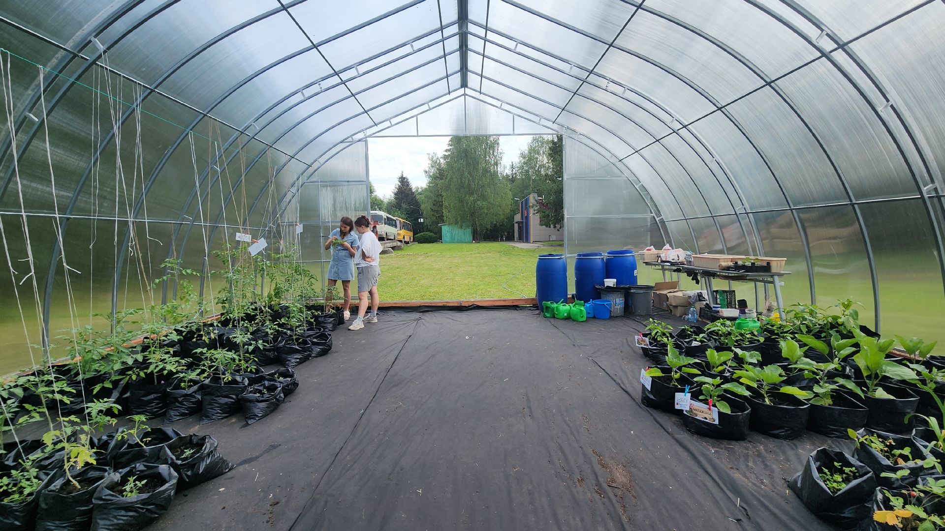 Агрономия, Образование , Профориентация ,