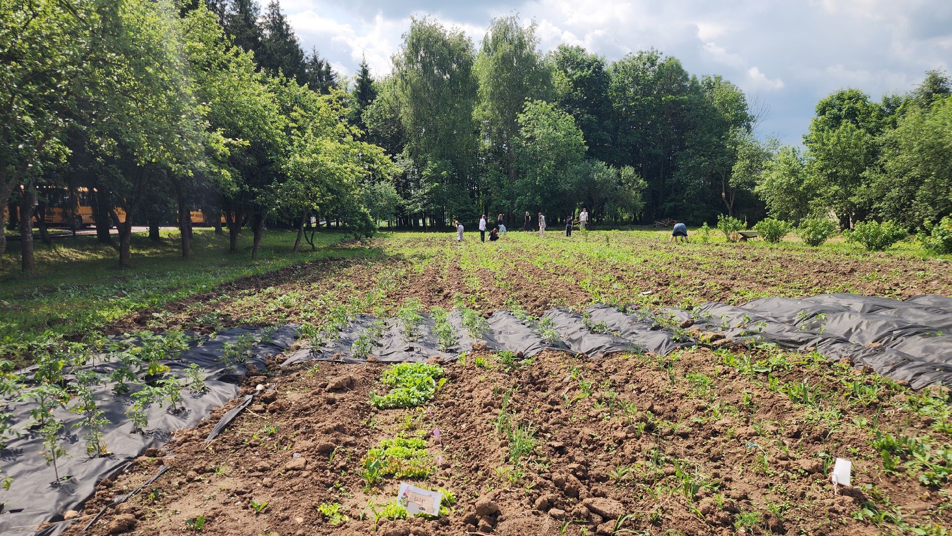 Агрономия, Образование , Профориентация ,