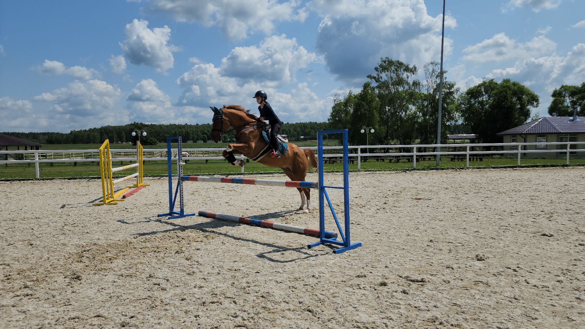 ступино, спорт, конный спорт,конкур,