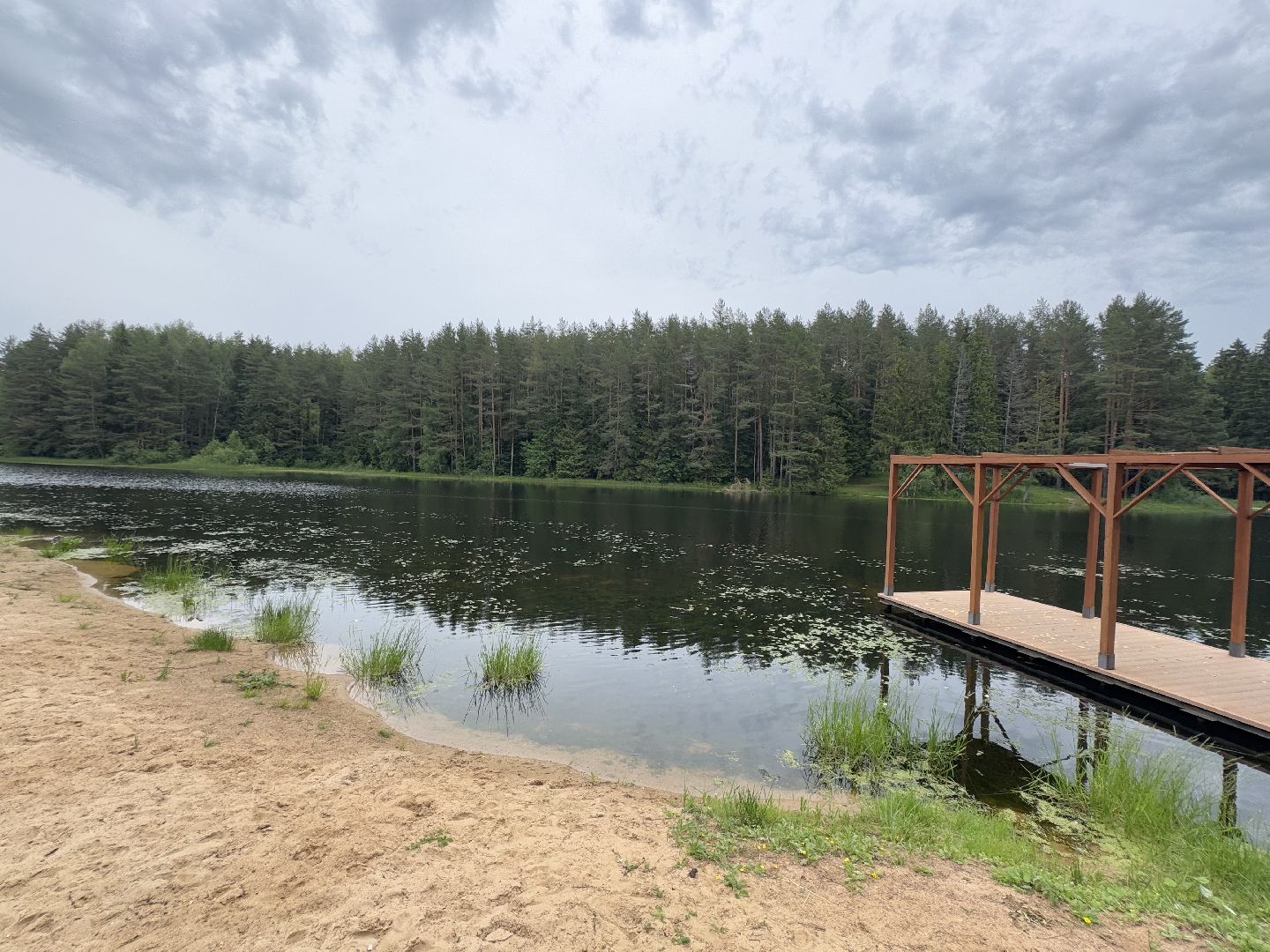 шаховская, плотина, лето в подмосковье, лето в парках,