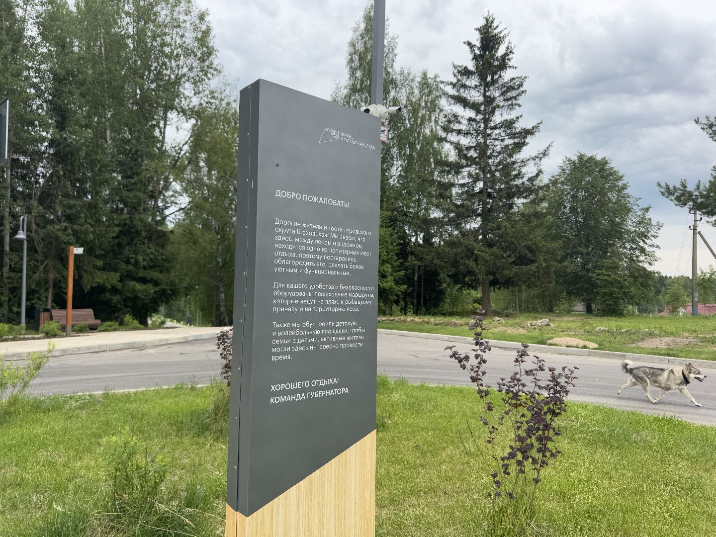 шаховская, плотина, лето в подмосковье, лето в парках,