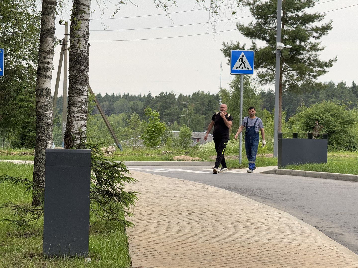 шаховская, плотина, лето в подмосковье, лето в парках,