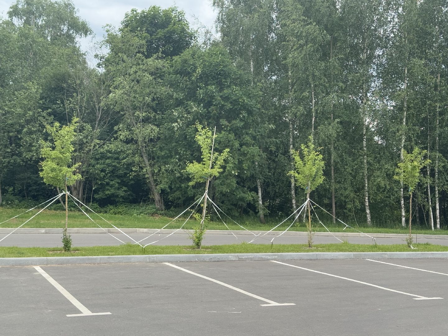 шаховская, плотина, лето в подмосковье, лето в парках,