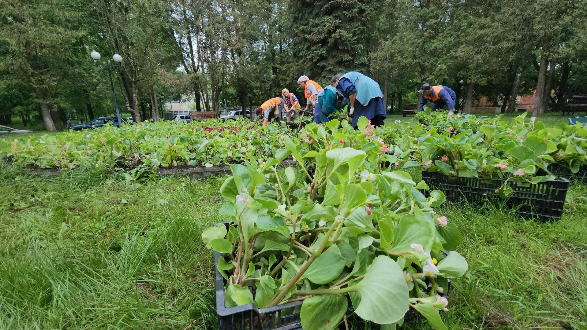серпухов, улица ногина, клумбы в сквере, вечный огонь, комбинат благоустройства,