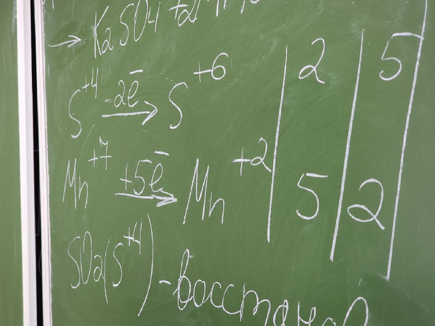 воскресенск, образование, егэ, стобалльники,