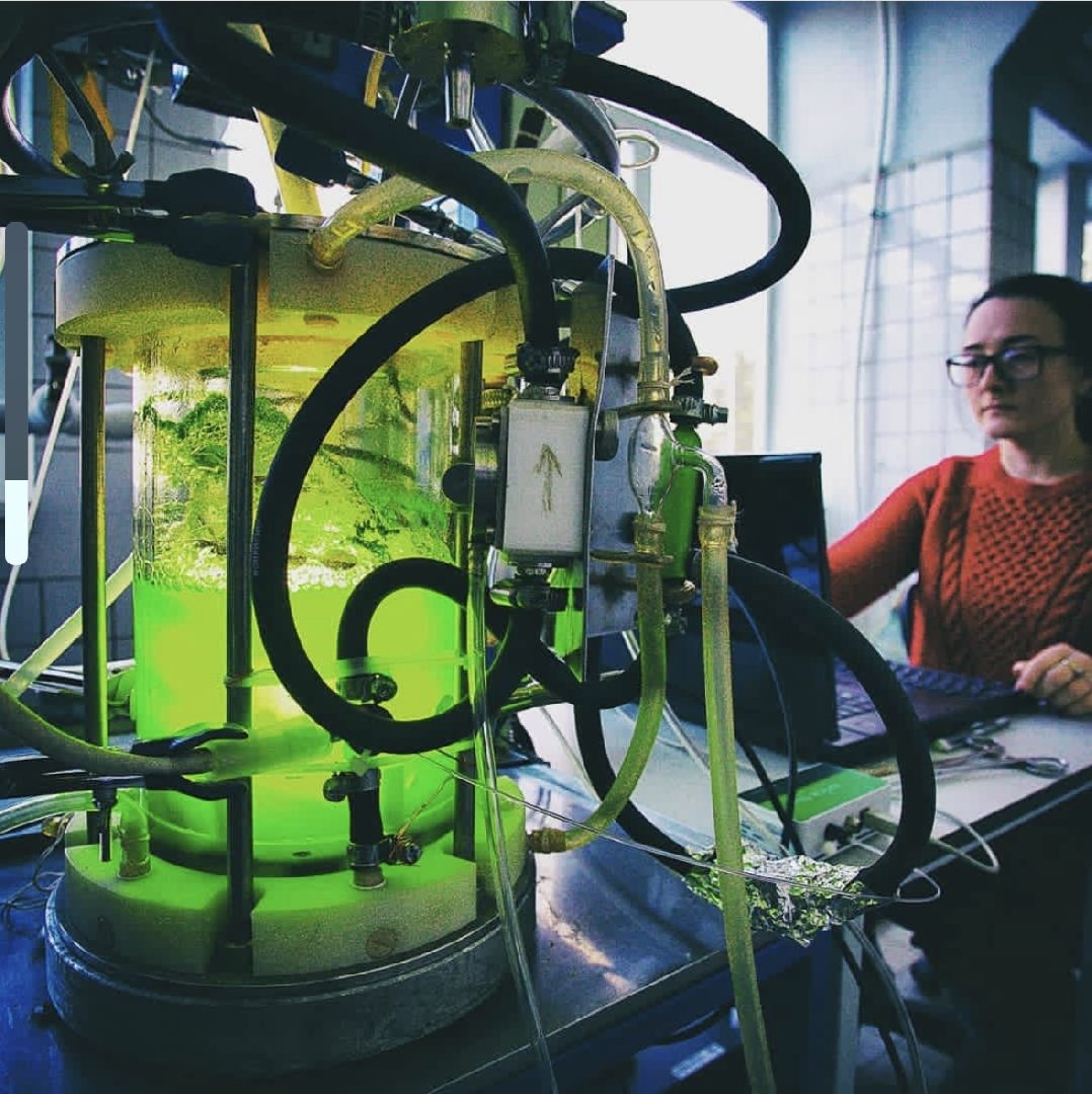 пущино, серпухов, наука, ученые,