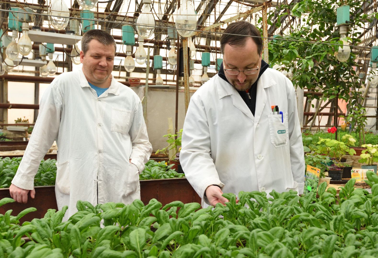 пущино, серпухов, наука, ученые,