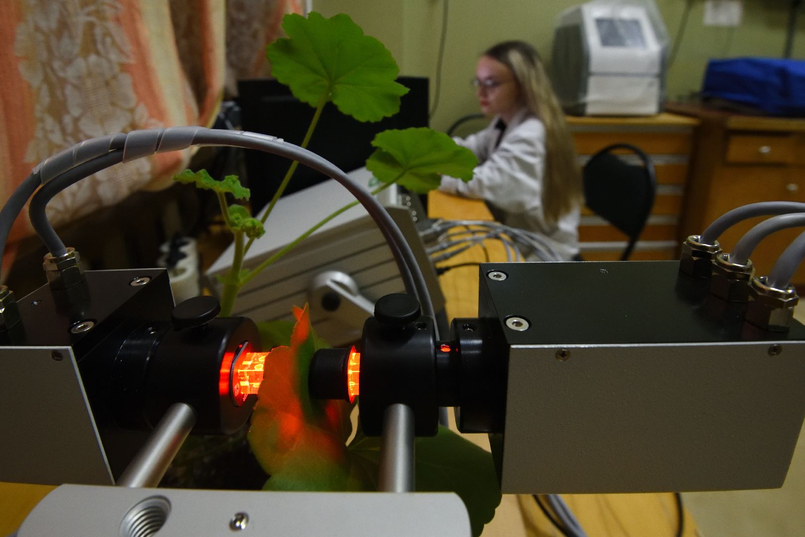 пущино, серпухов, наука, ученые,