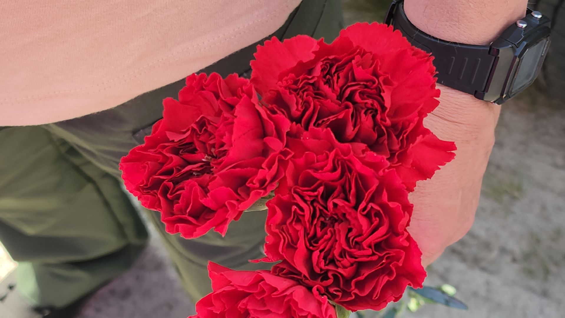 Егорьевск, Подмосоквье, Московская область,