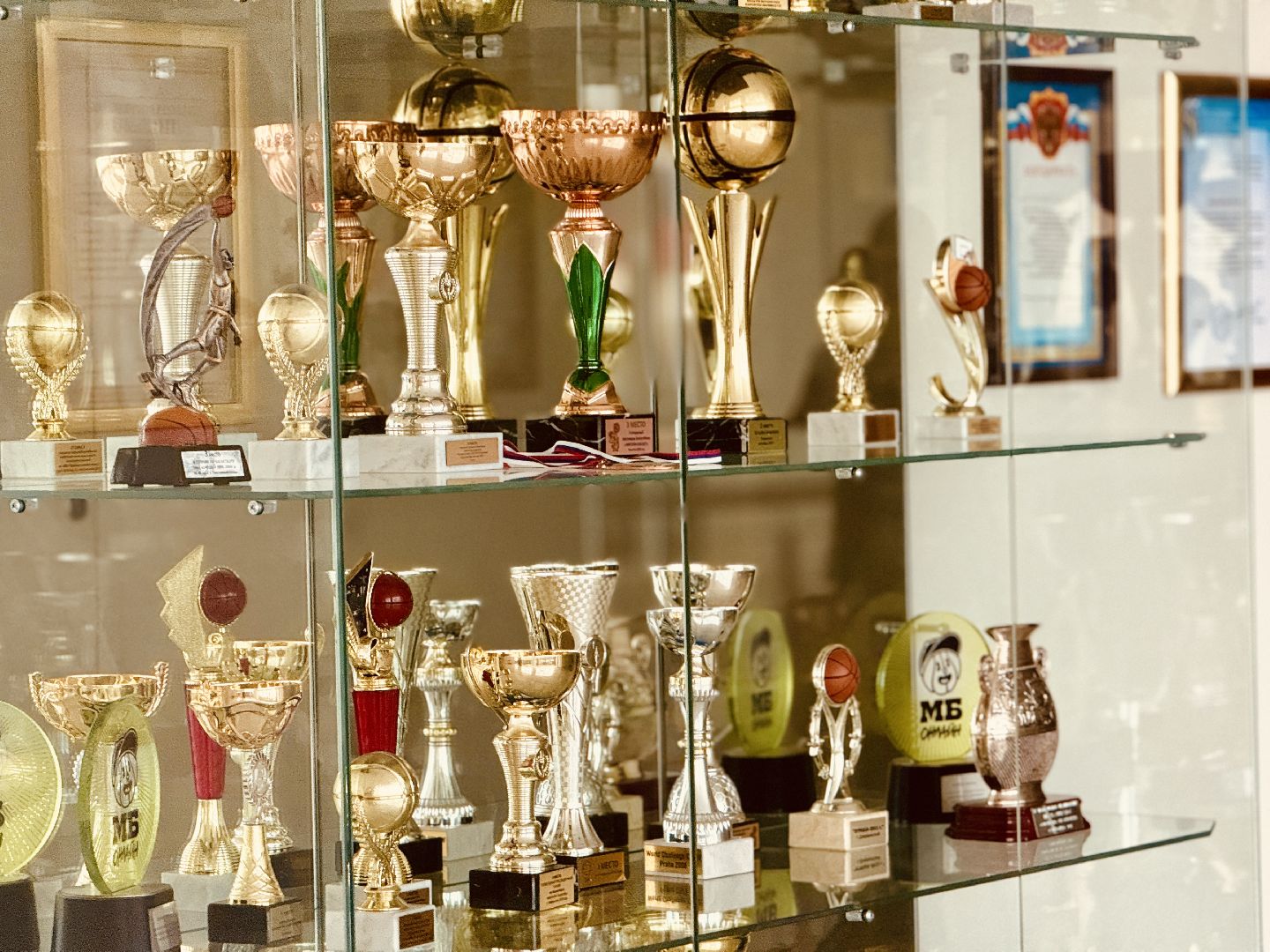 раменское, трудовые бригады, трудовая бригада, молодежный центр, молодежь, работа для школьников,