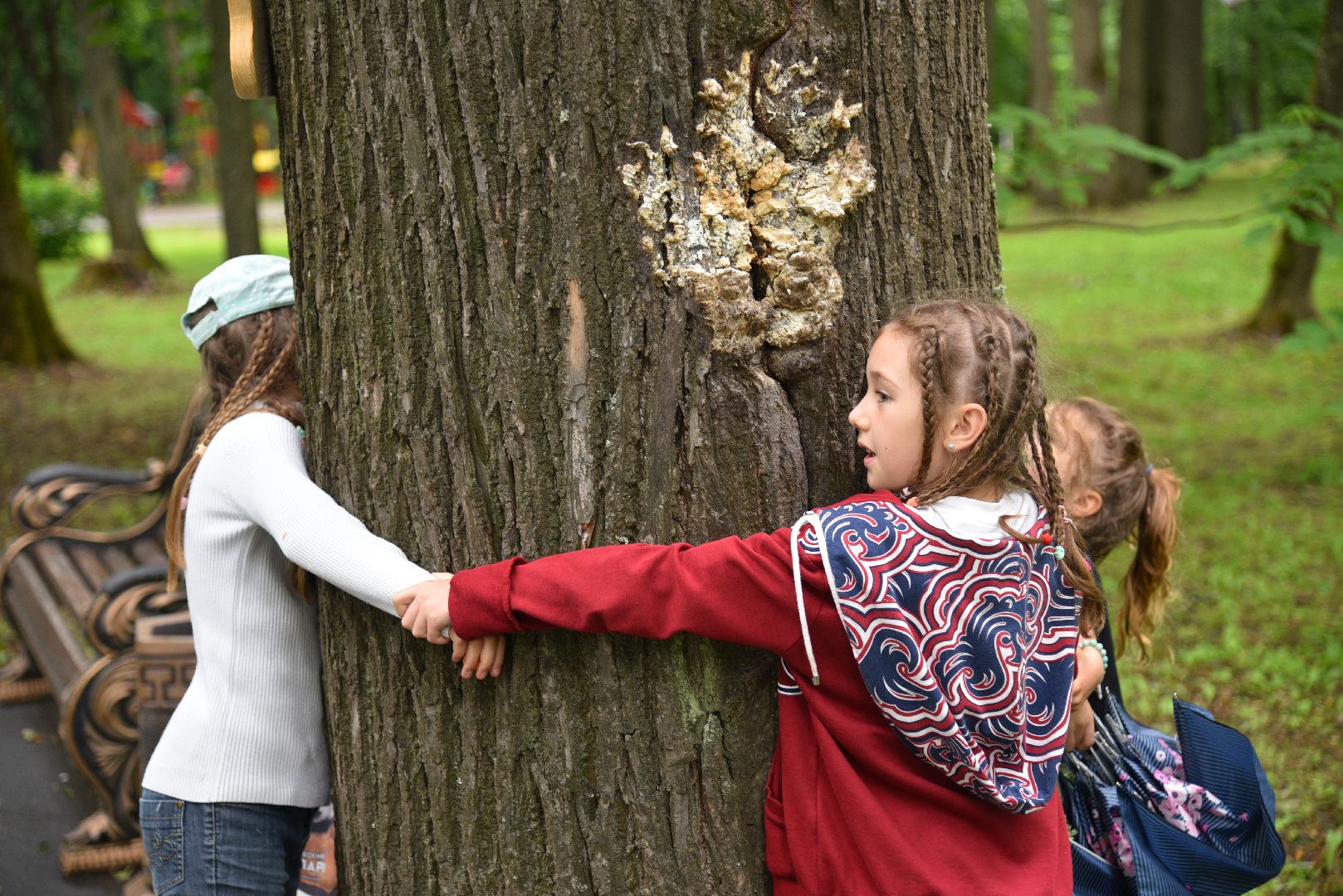 лотошино, лотошинская библиотека, лотошинский парк,
