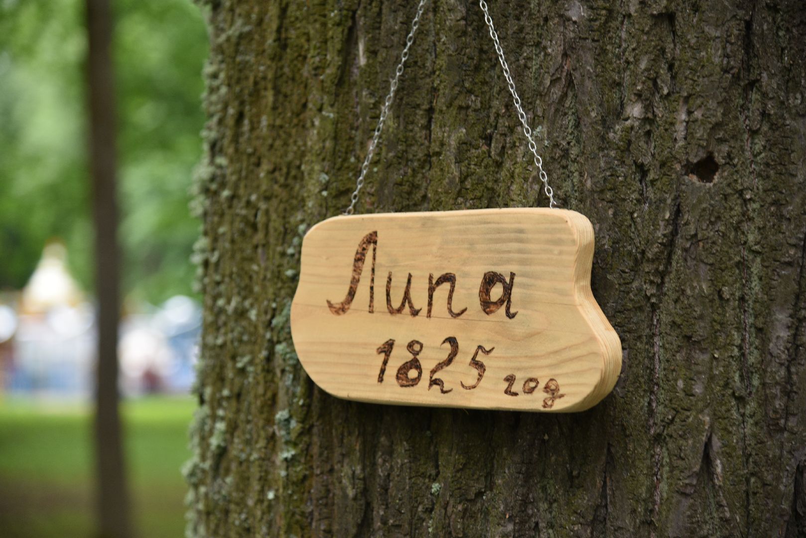 лотошино, лотошинская библиотека, лотошинский парк,