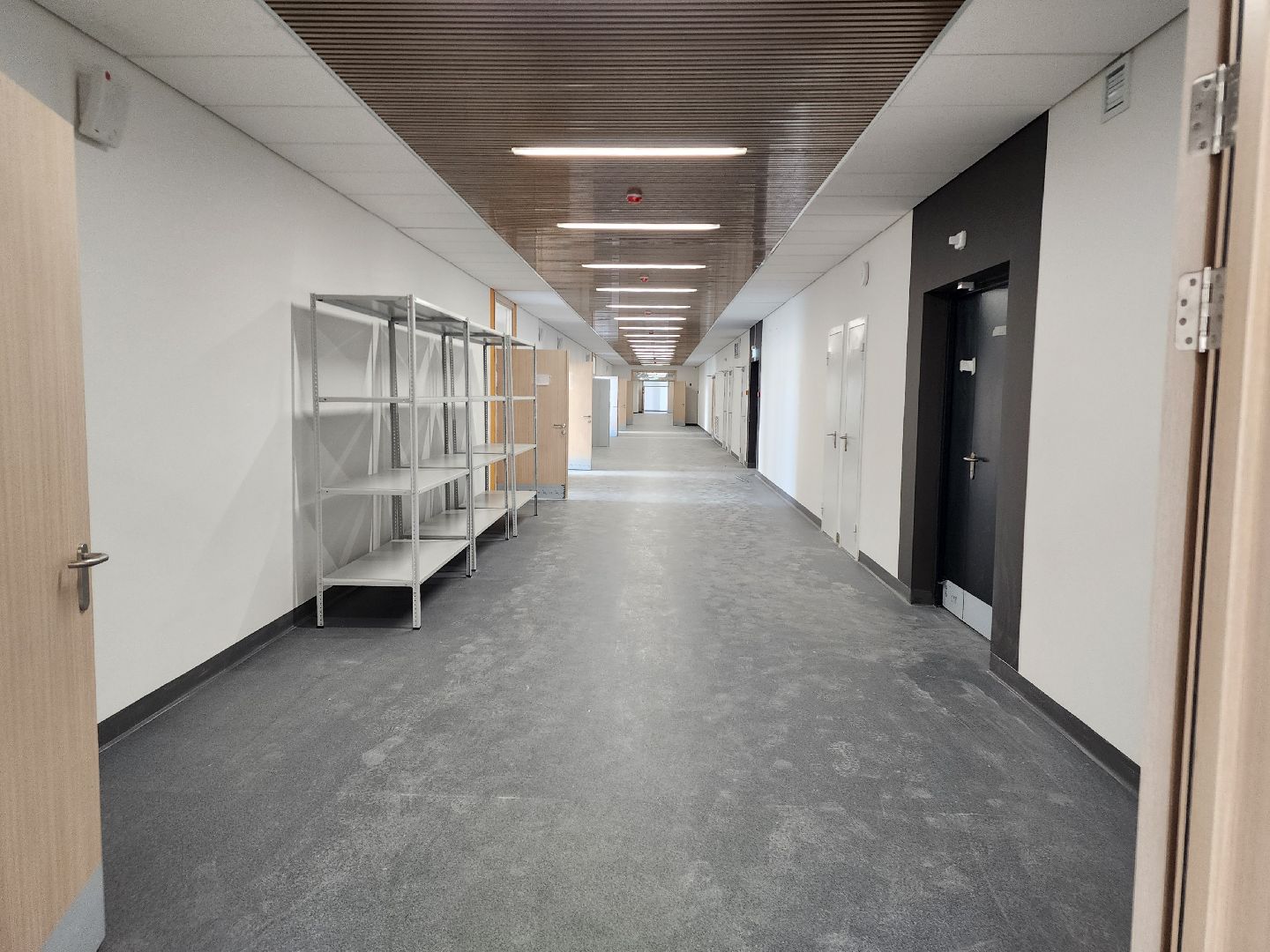 Новое Пушкино, строительство школы, образование,