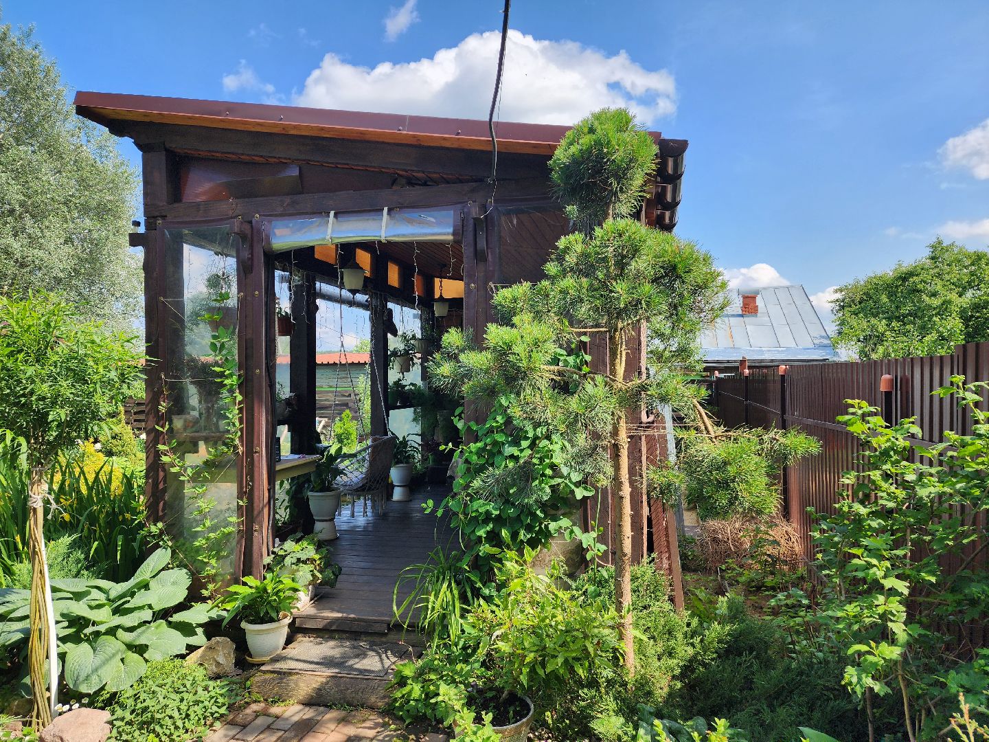 городской округ пушкинский, деревня лепешки, хвойники, ландшафтный дизайн, активное долголетие,