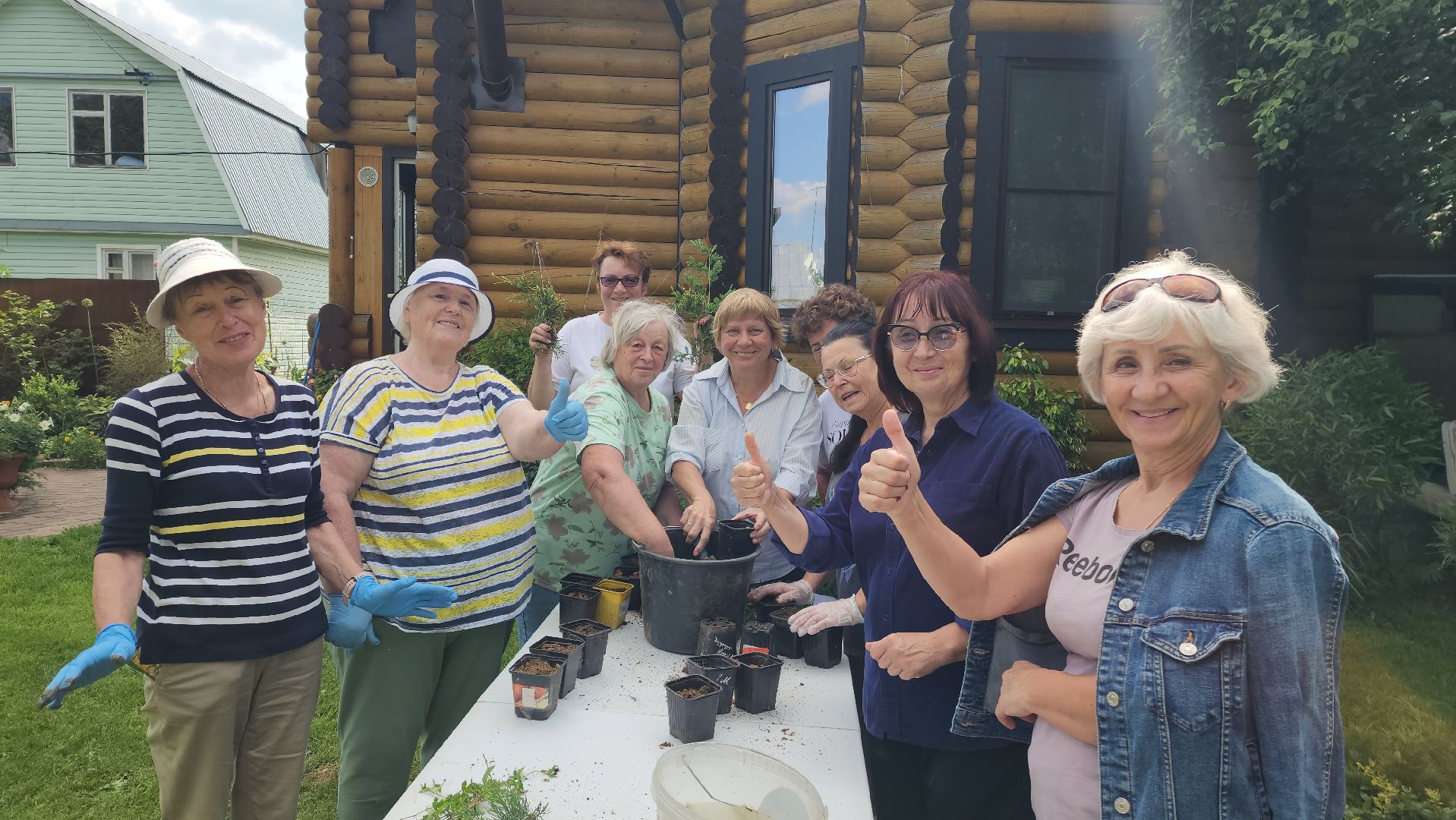 городской округ пушкинский, деревня лепешки, хвойники, ландшафтный дизайн, активное долголетие,