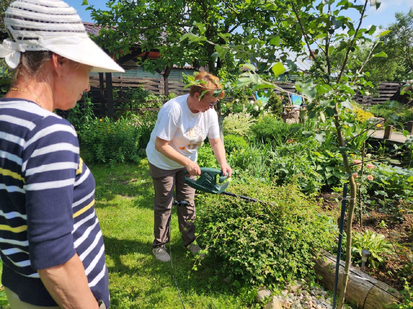 городской округ пушкинский, деревня лепешки, хвойники, ландшафтный дизайн, активное долголетие,