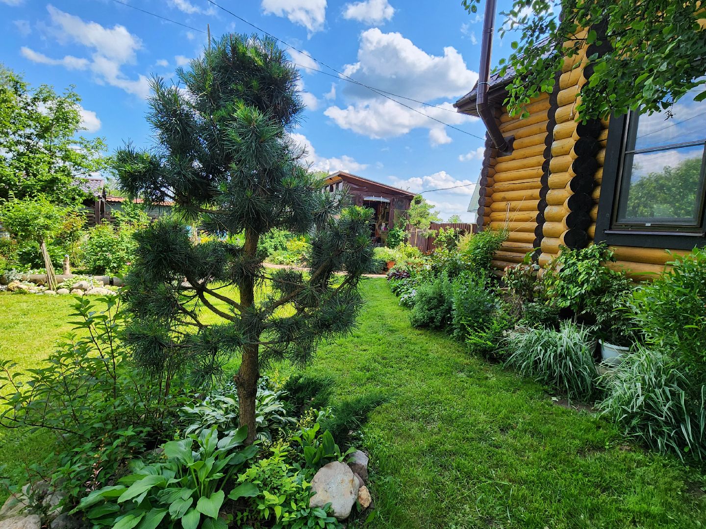 городской округ пушкинский, деревня лепешки, хвойники, ландшафтный дизайн, активное долголетие,