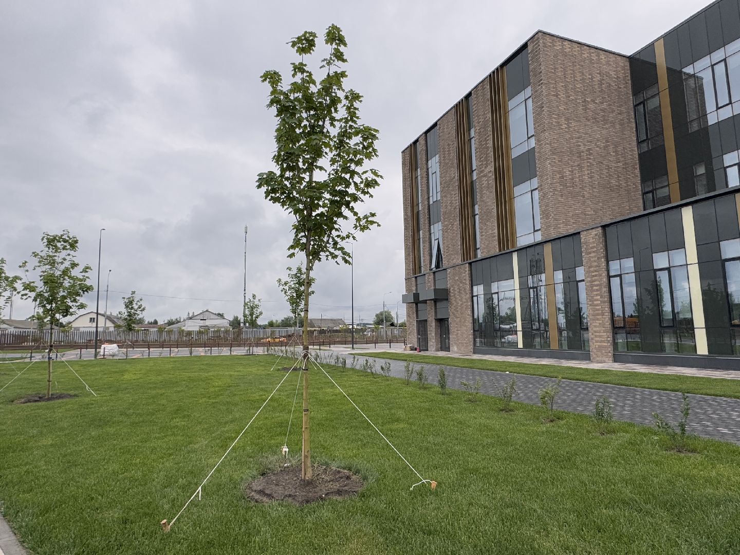 Новый центр в Ромашково, Строительство больниц, Минздрав МО, Одинцово,