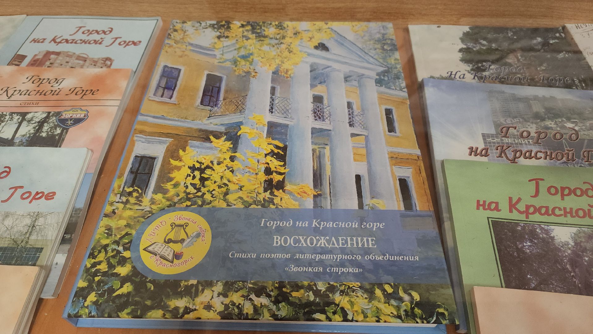 красногорск, пушкин,