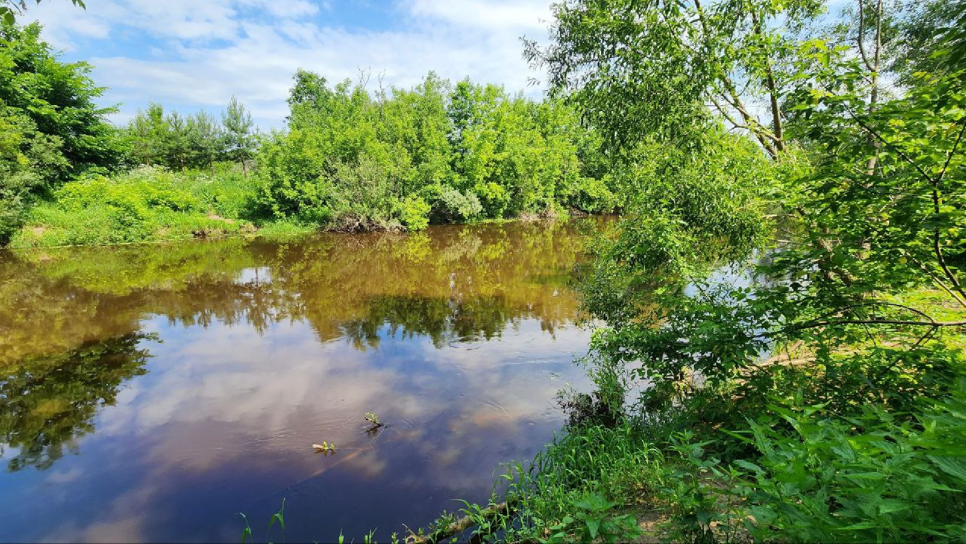 Талдом, Вербилки, Благоустройство, Минблаго,