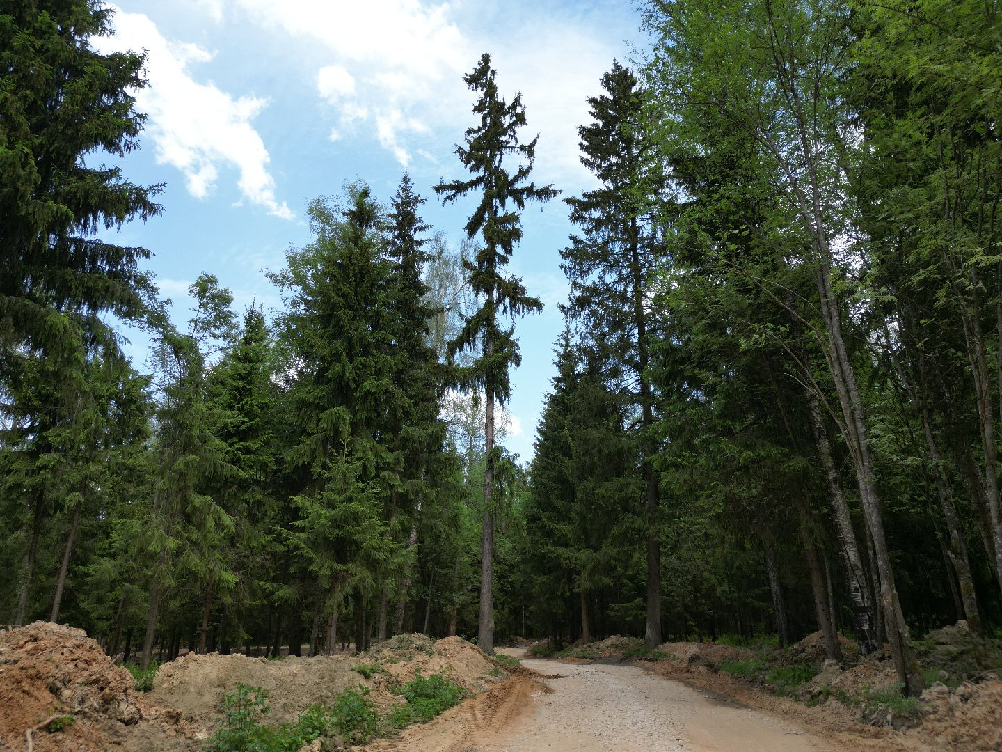 видео с коптера, лесопарк Соколка, благоустройство в истре,