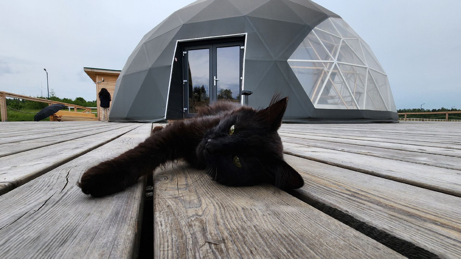 Руза, Туризм, Глэмпинг, Муза Рузы ,