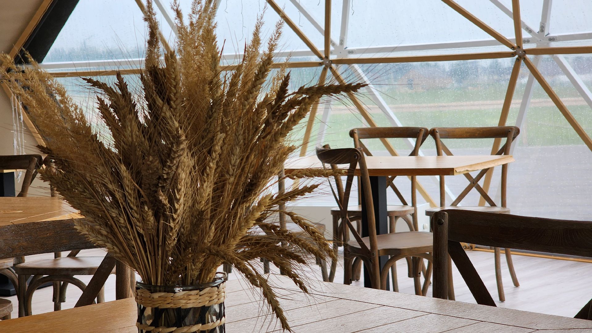 Руза, Туризм, Глэмпинг, Муза Рузы ,