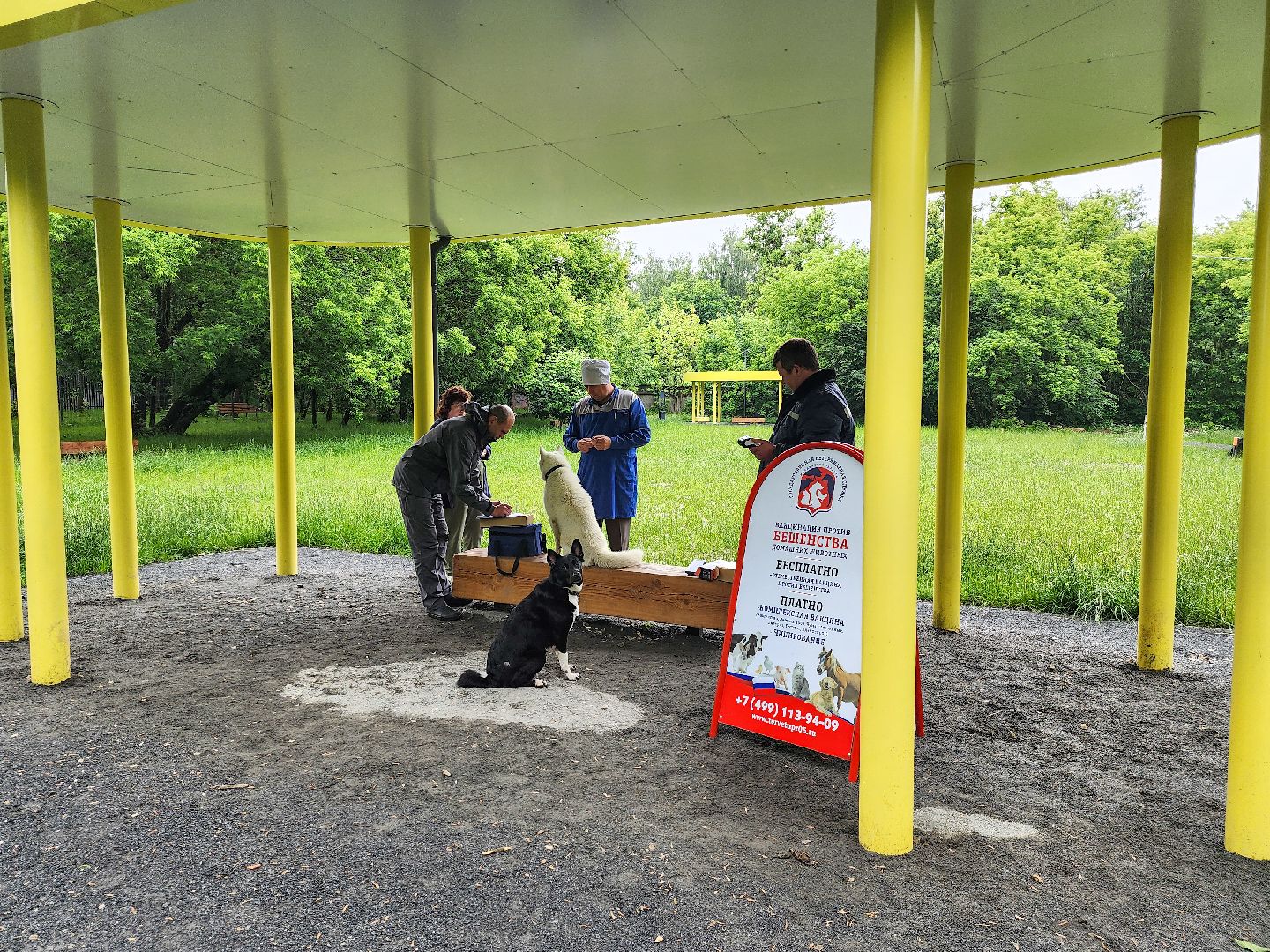Подольск, чипирование домашних животных, вакцинация животных от бешенства, Парк Талалихина,