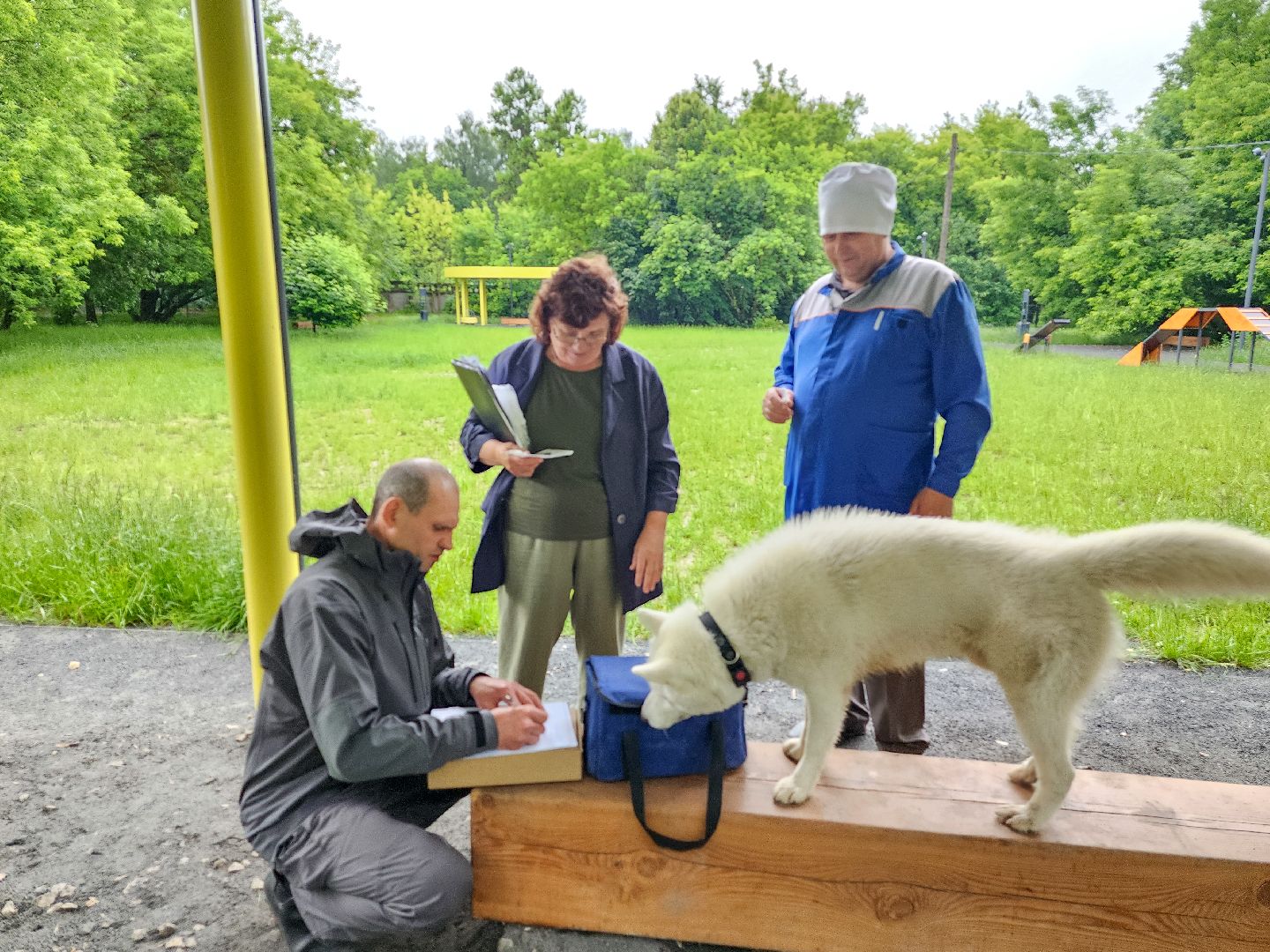 Подольск, чипирование домашних животных, вакцинация животных от бешенства, Парк Талалихина,