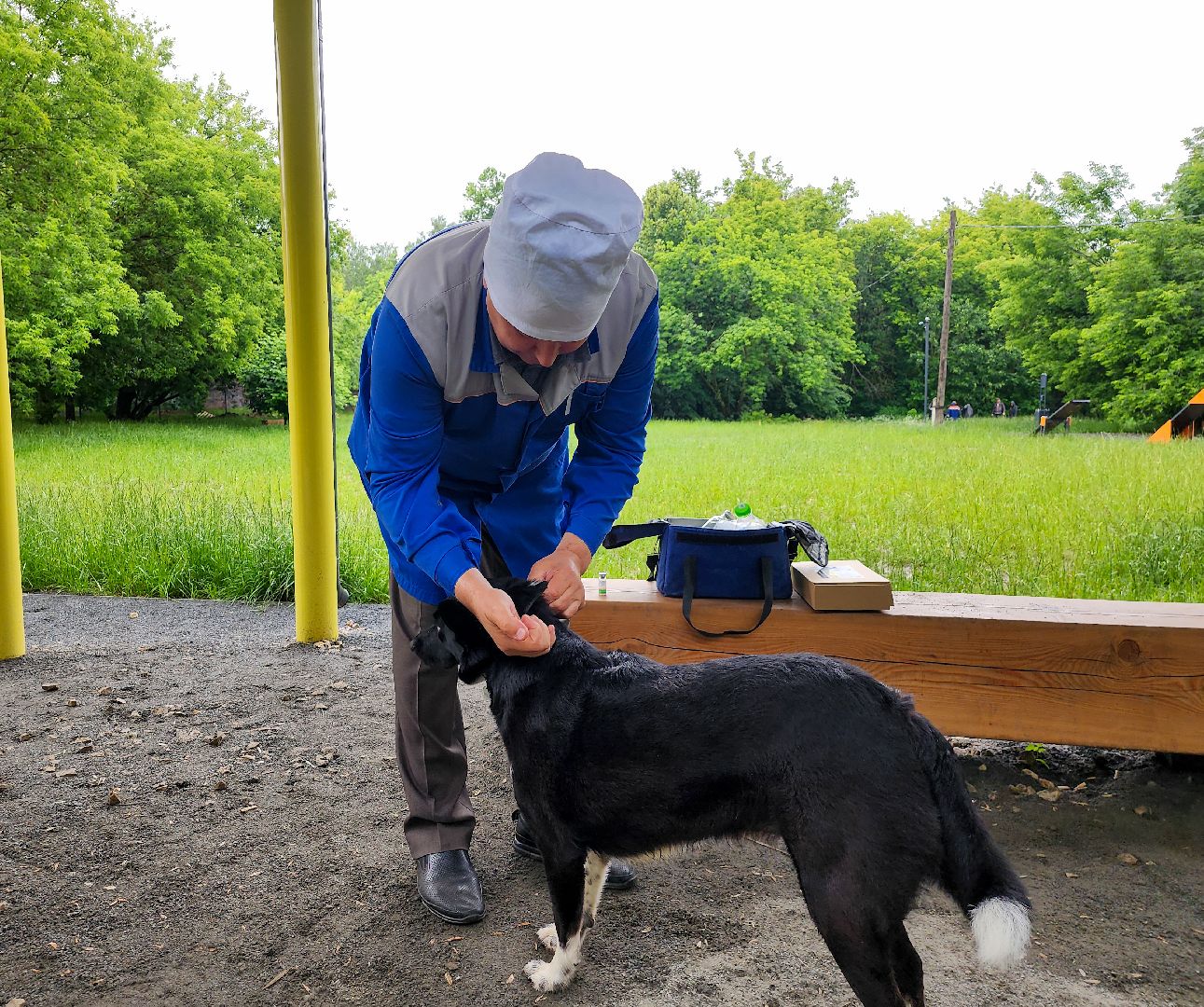 Подольск, чипирование домашних животных, вакцинация животных от бешенства, Парк Талалихина,