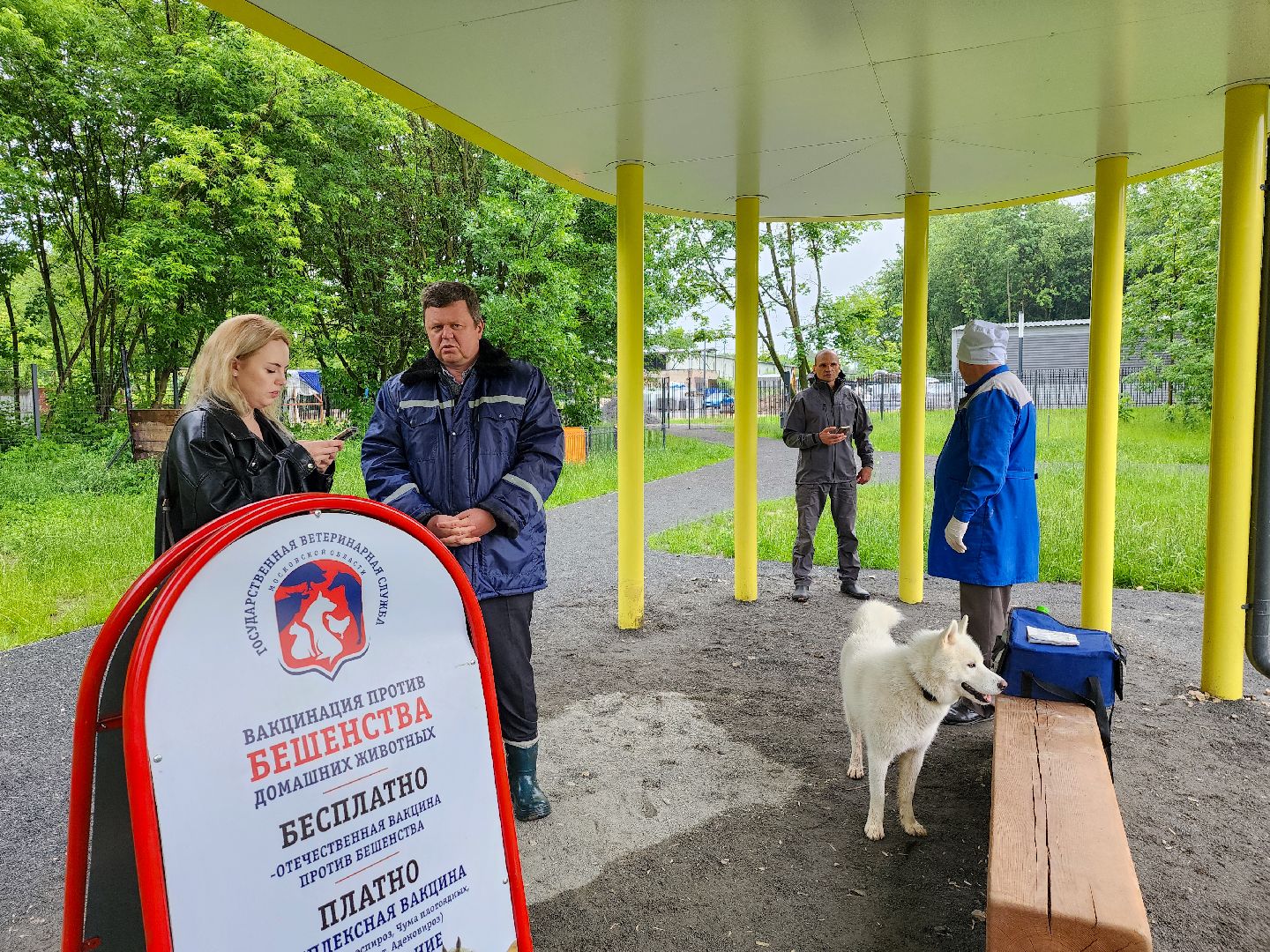 Подольск, чипирование домашних животных, вакцинация животных от бешенства, Парк Талалихина,