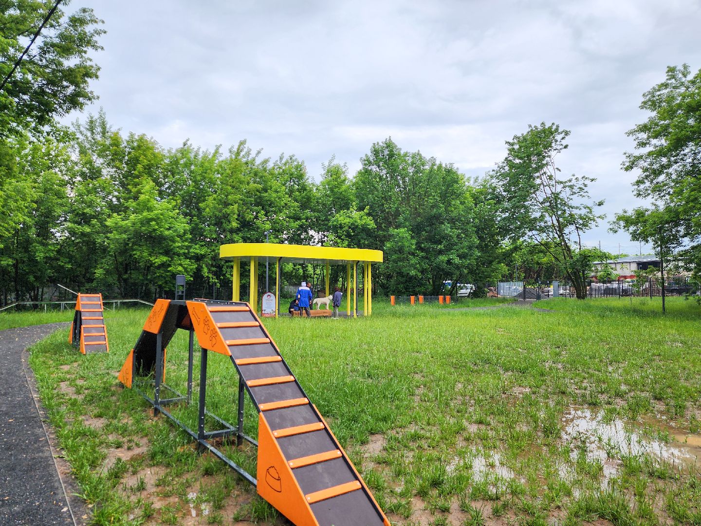 Подольск, чипирование домашних животных, вакцинация животных от бешенства, Парк Талалихина,