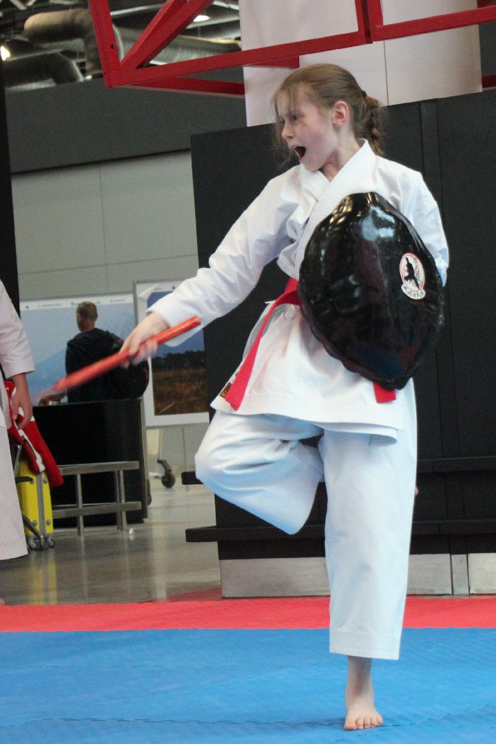 Лобня, спорт, каратэ