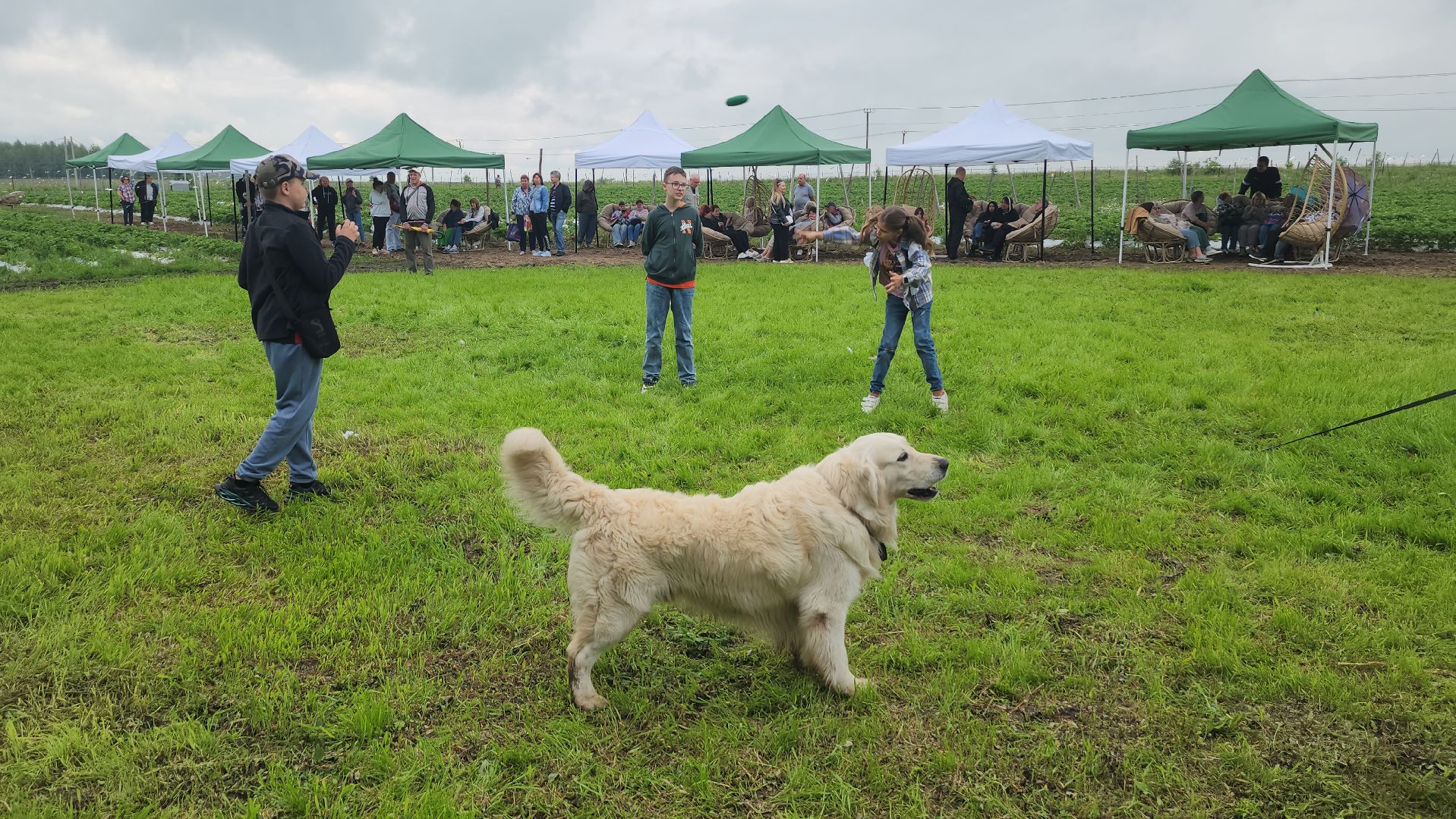 серпухов, деревня прончищево, поселок пролетарский, волонтеры сво, клубничный фест,