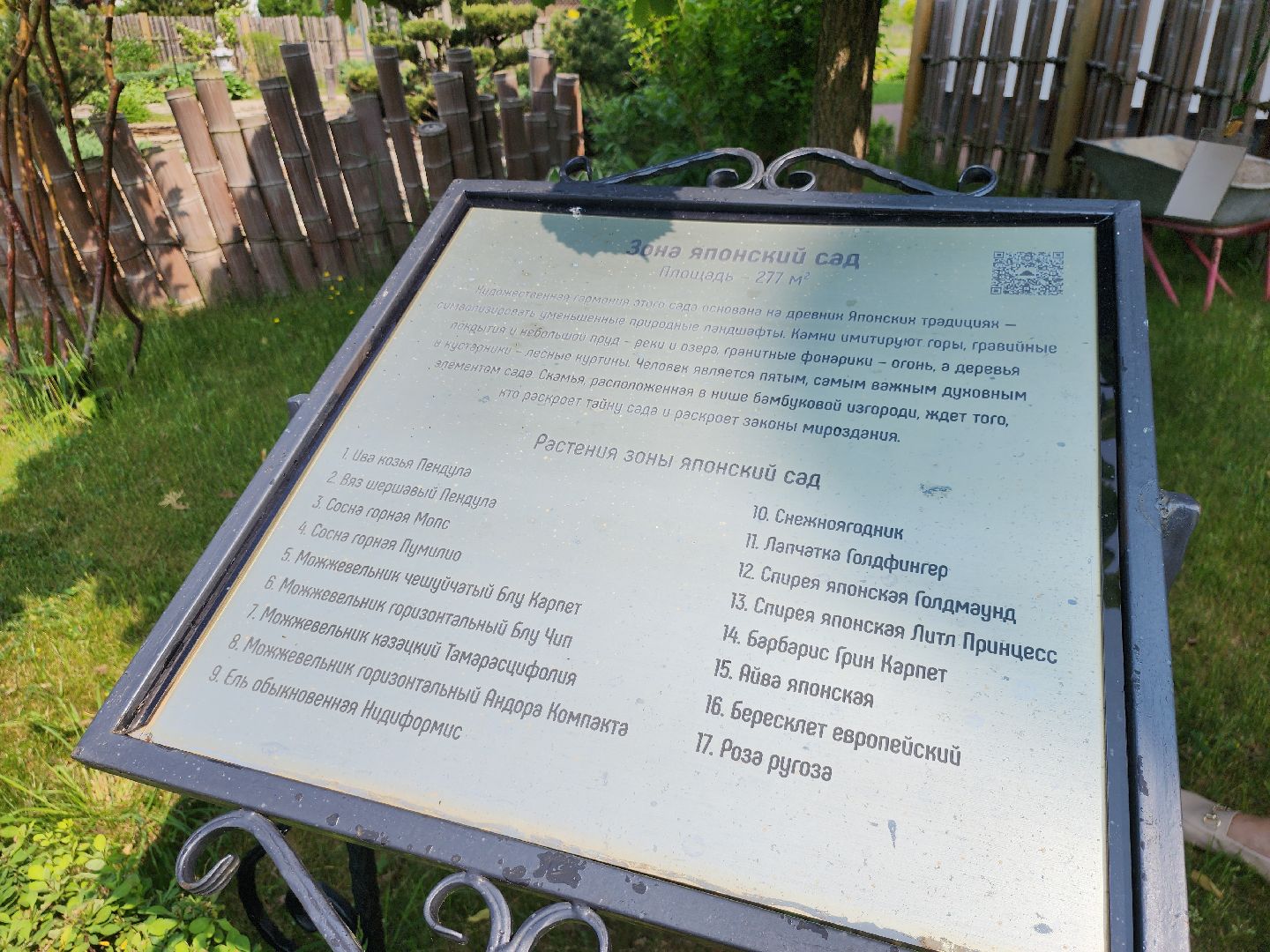 серпухов, подмосковье, японский сад, питомник южный,