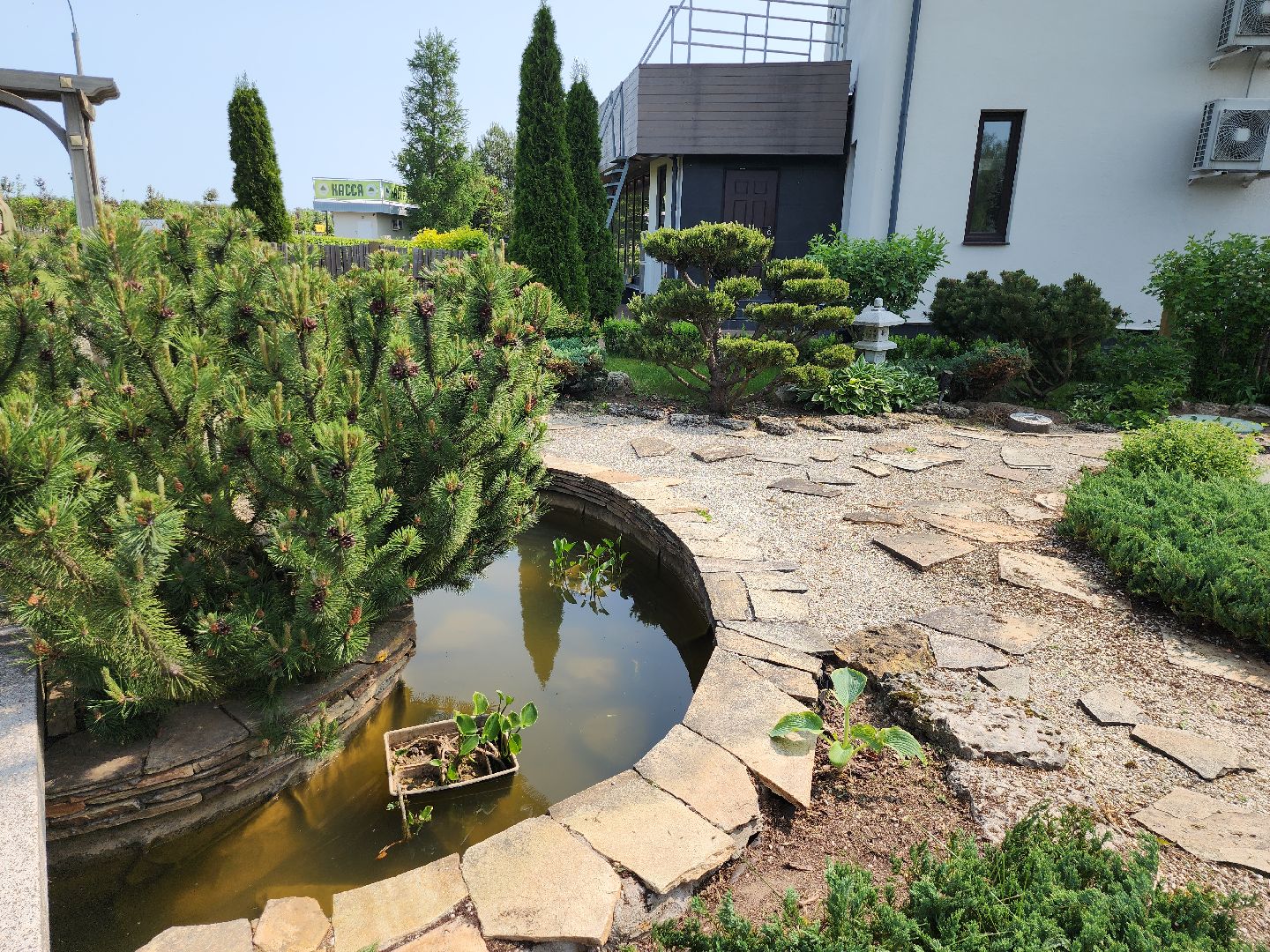 серпухов, подмосковье, японский сад, питомник южный,