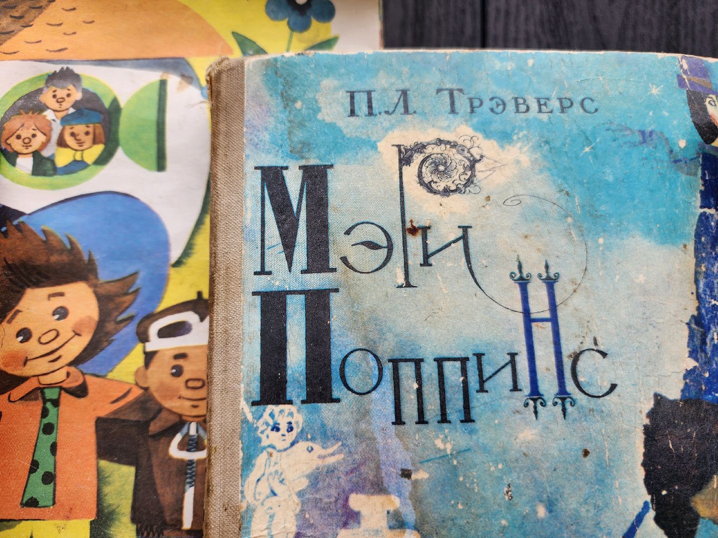 фрязино, буккроссинг, лесопарк, книги,