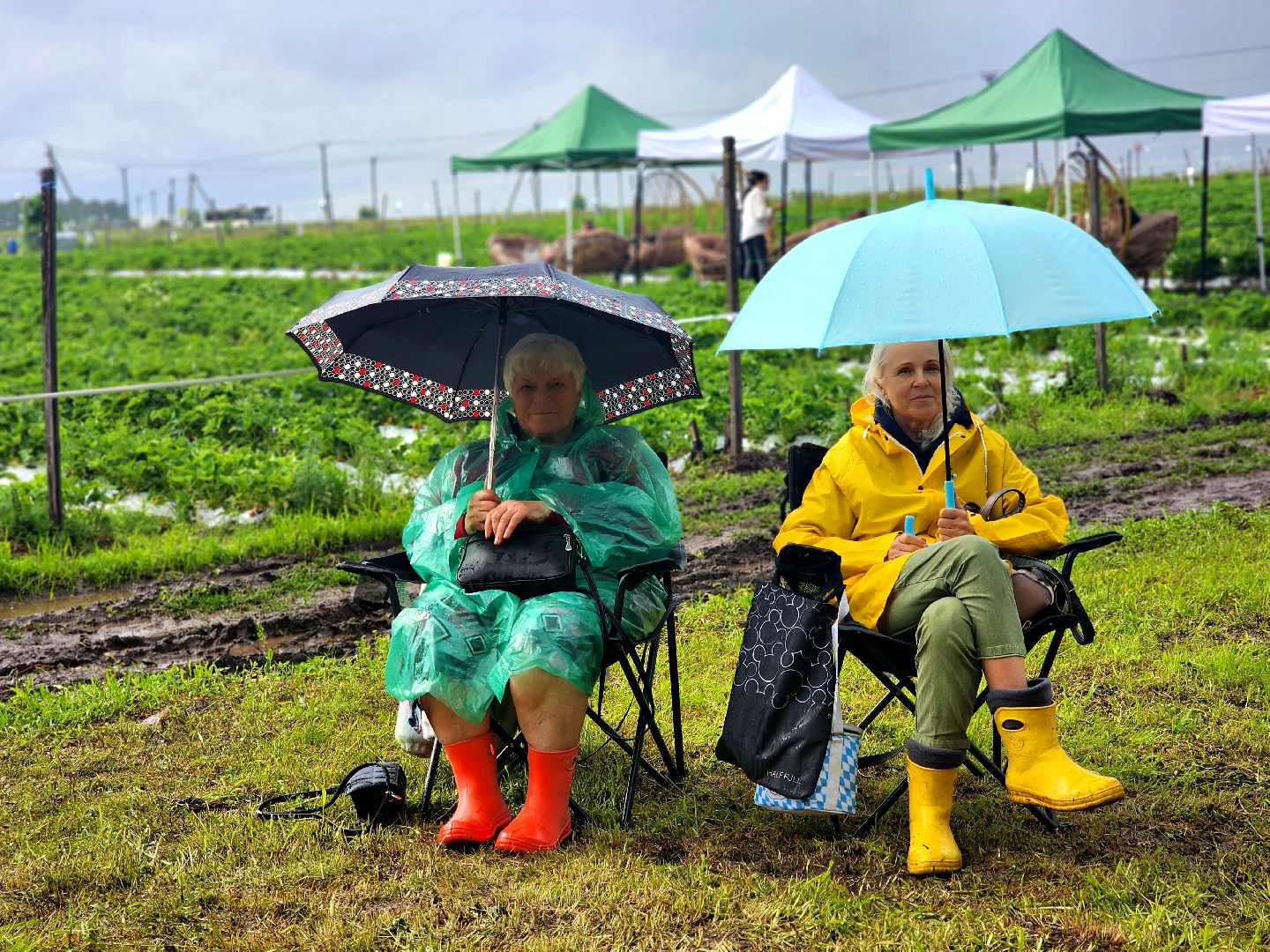 пущино, серпухов, лето в подмосковье, фестиваль , агротуризм,