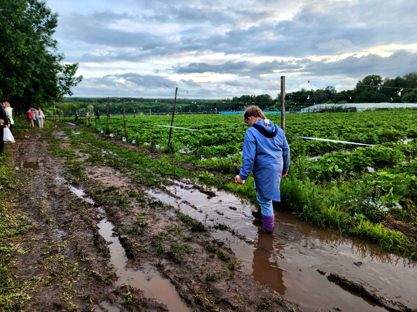 пущино, серпухов, лето в подмосковье, фестиваль , агротуризм,