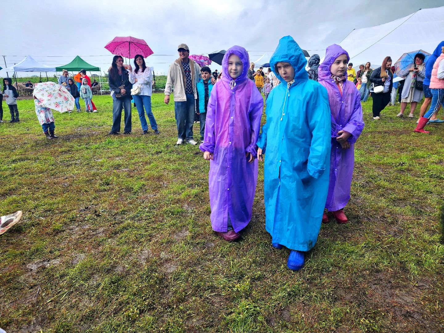 пущино, серпухов, лето в подмосковье, фестиваль , агротуризм,