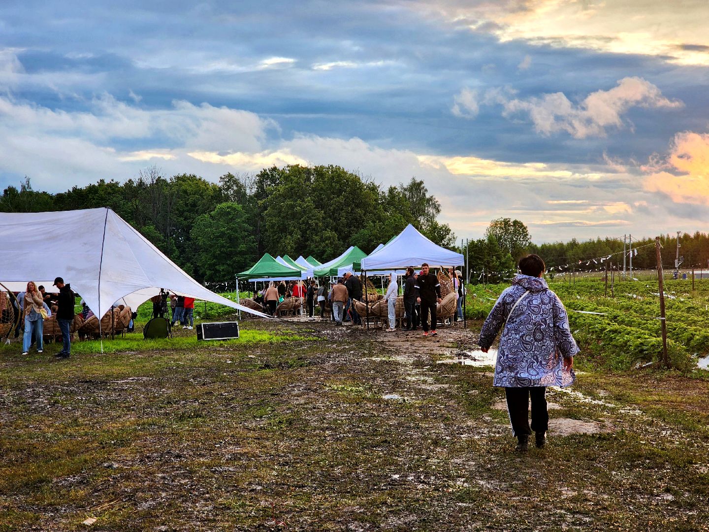 пущино, серпухов, лето в подмосковье, фестиваль , агротуризм,