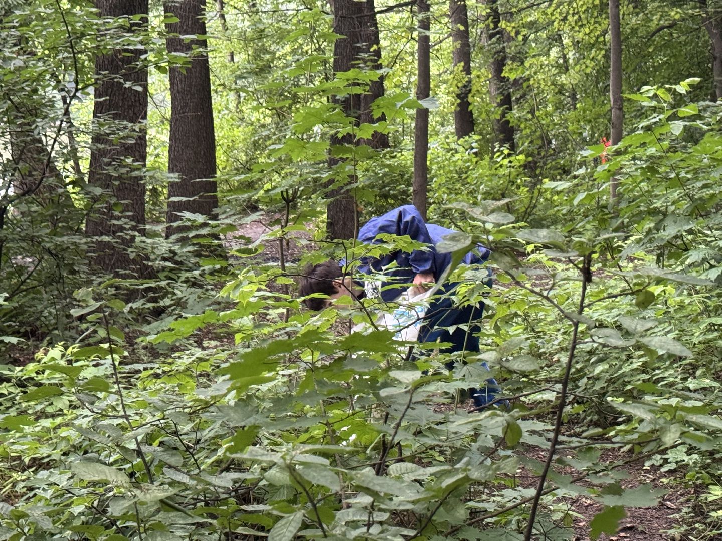 вода россии, балашиха, субботник, парк пехорка, волонтеры,