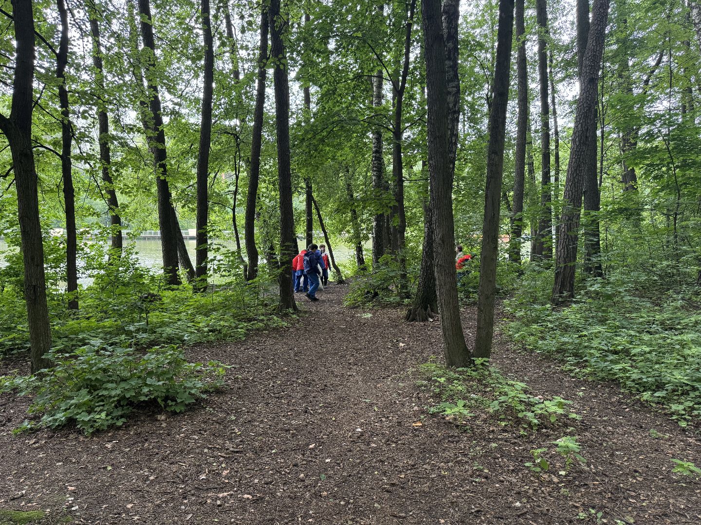 вода россии, балашиха, субботник, парк пехорка, волонтеры,