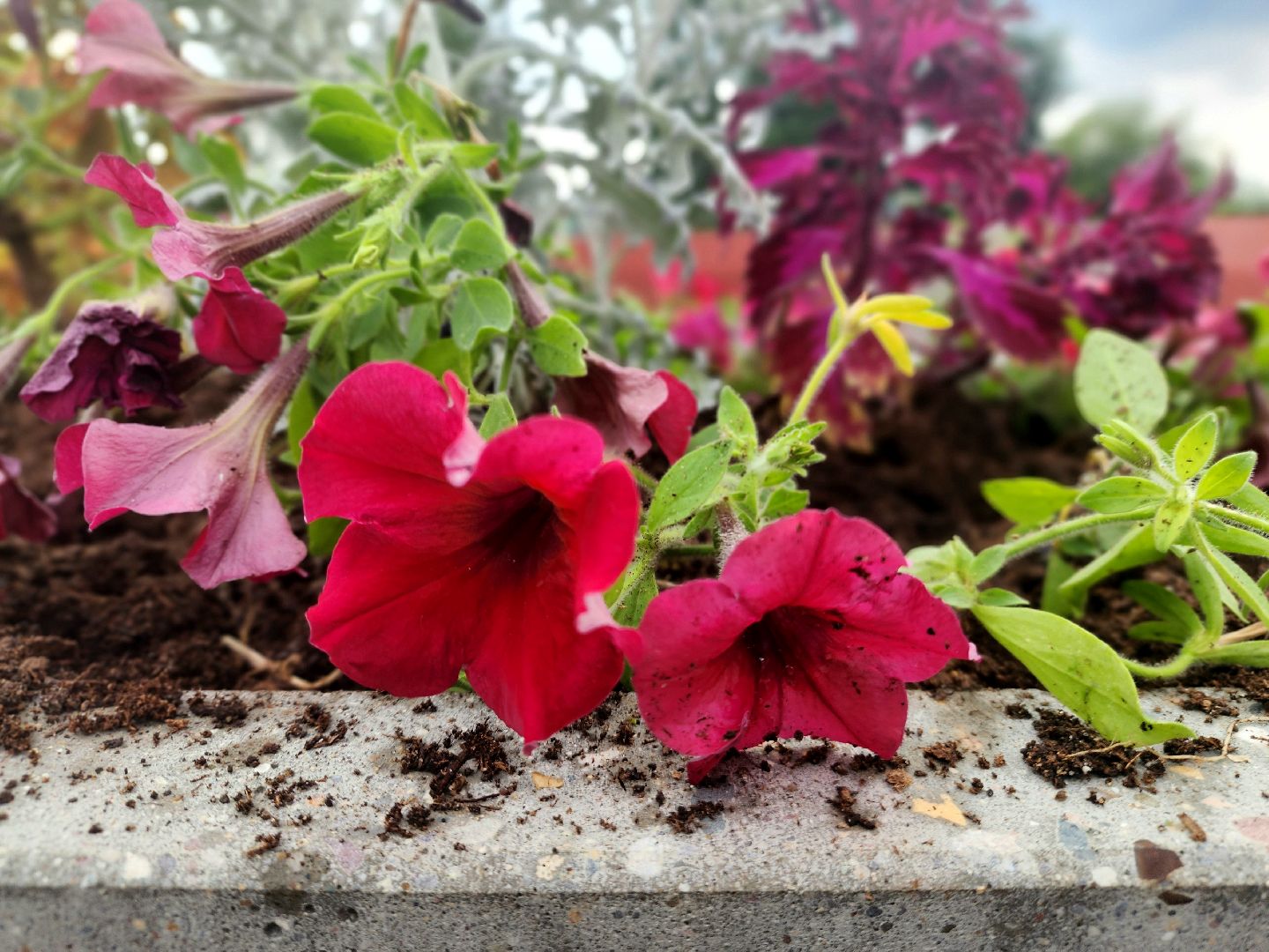 пущино, серпухов, благоустройство,