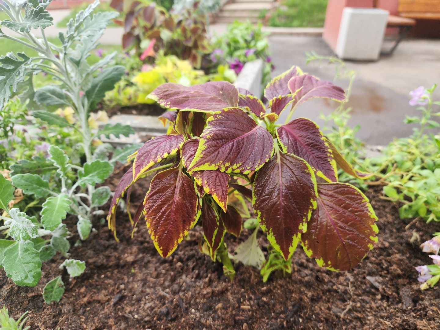 пущино, серпухов, благоустройство,