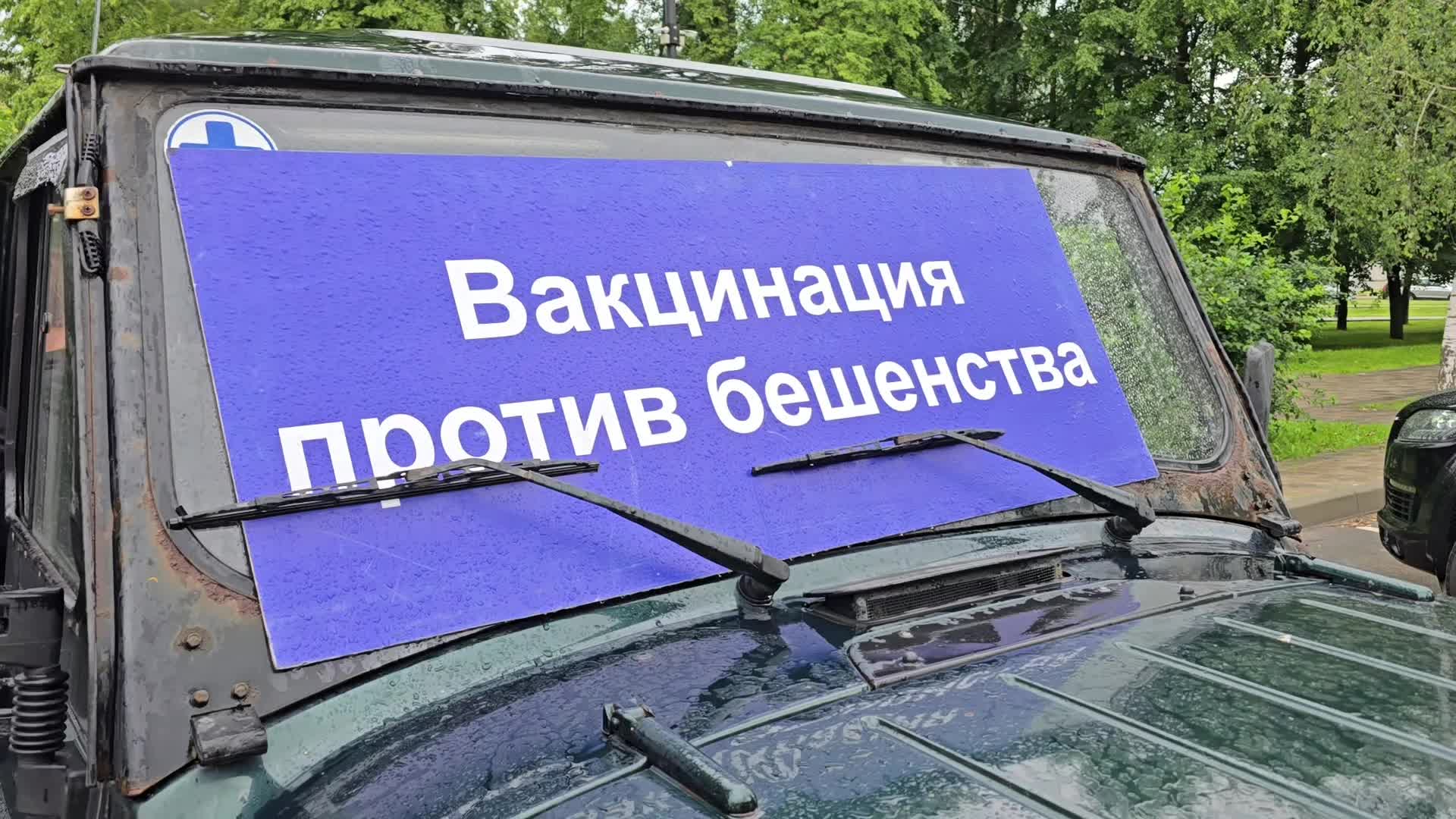 /mediabank_mount//73995/1606233a3e37a283a41c377b7d1bbd62.jpg